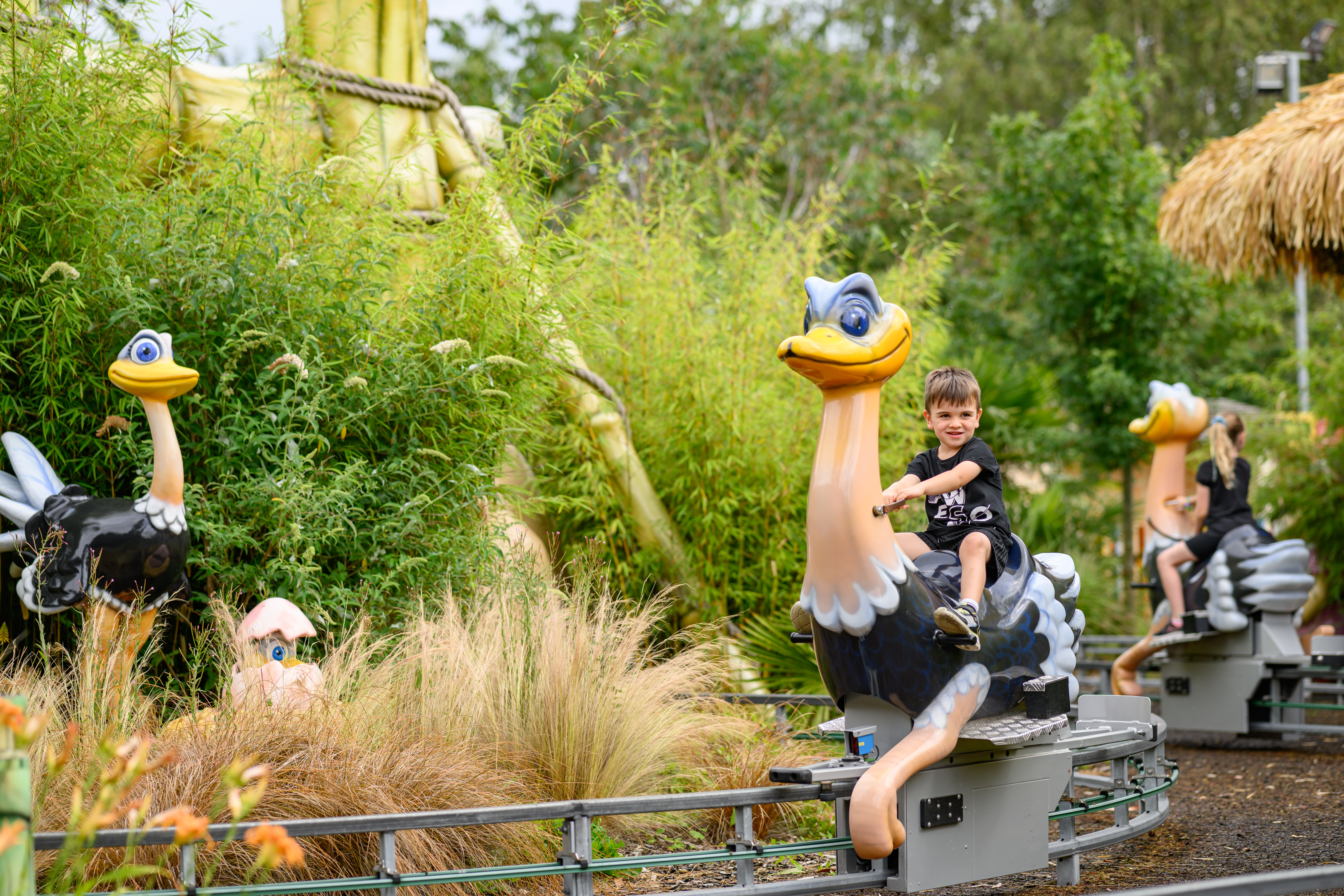 The Wild Ostrich Ride For Families With Under 10S At Sundown Adventureland 7